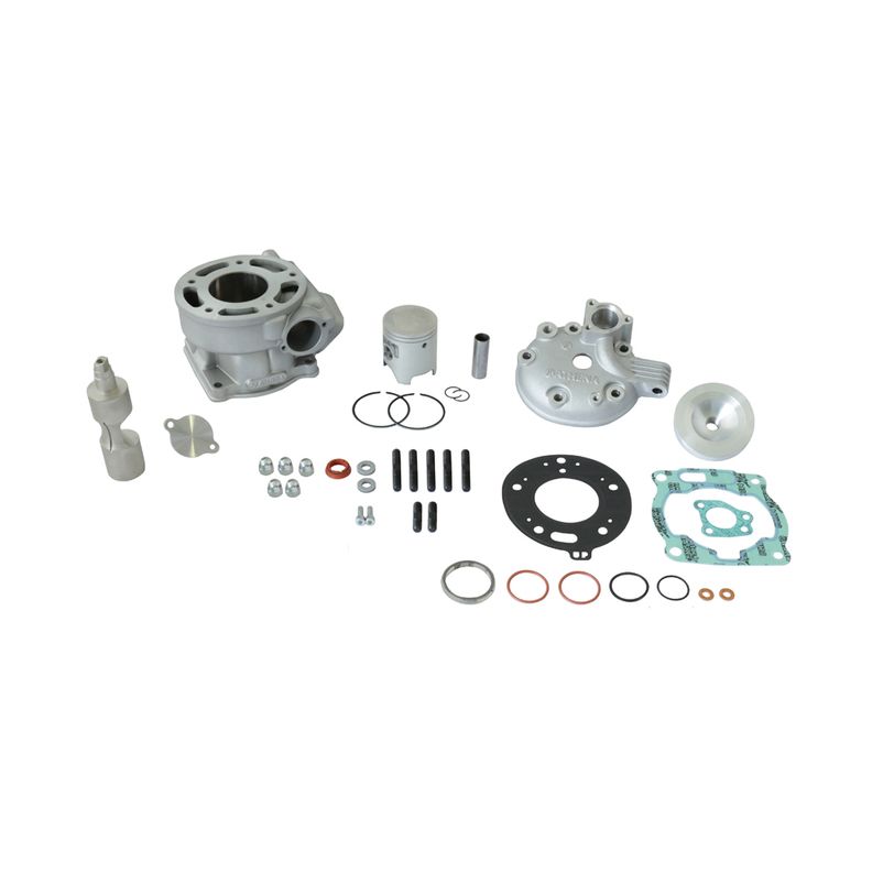 Athena P400485100019 2T Cast Piston Ø 55,95 mm for Athena Standard Bore Cylinder Kit