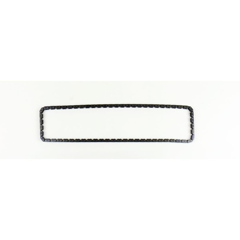 Athena S41400001 Timing Chain