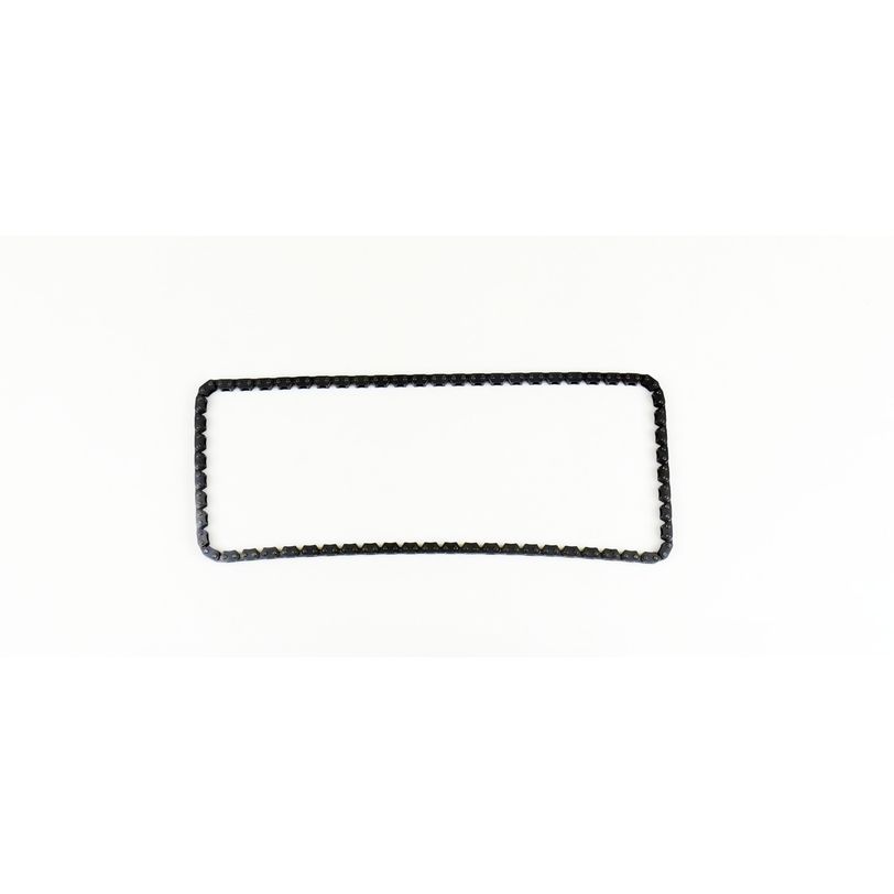 Athena S41400002 Timing Chain