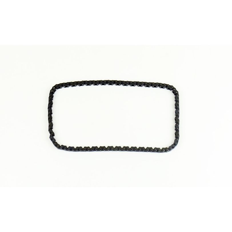 Athena S41400004 Timing Chain
