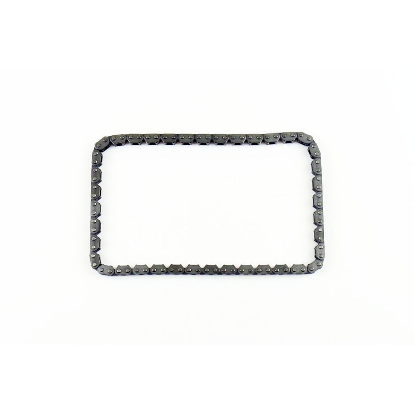 Athena S41400016 Timing Chain