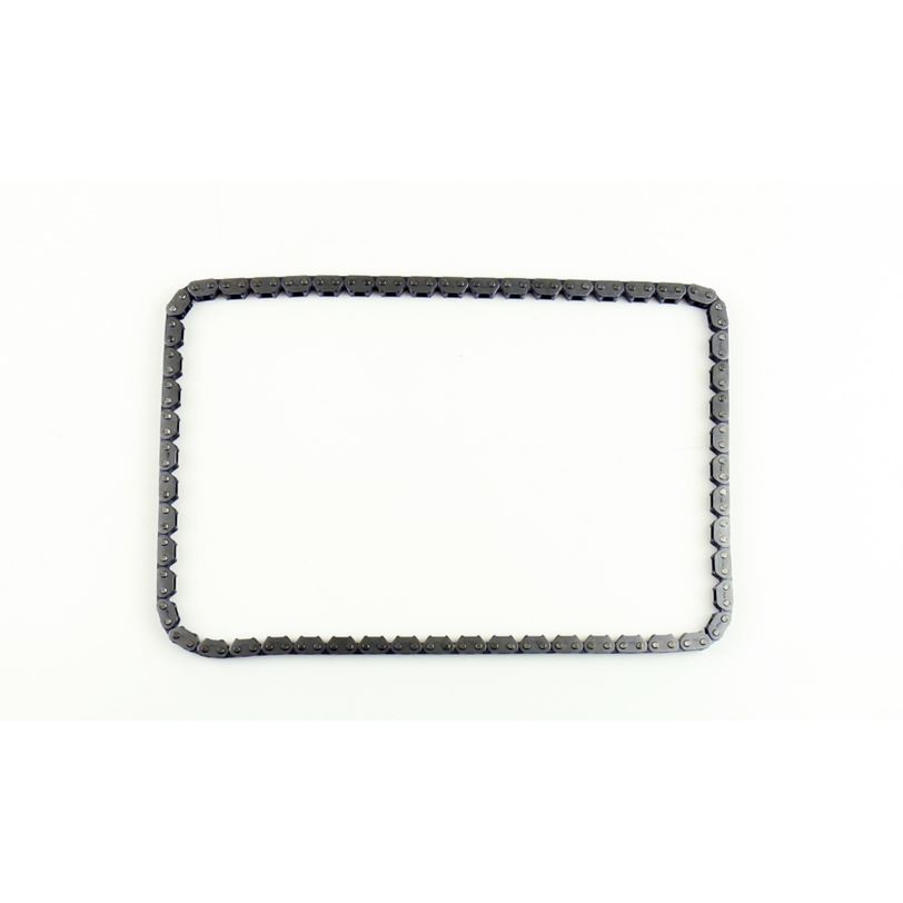 Athena S41400017 Timing Chain