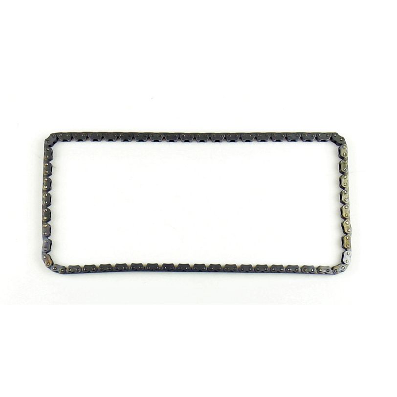 Athena S41400018 Timing Chain