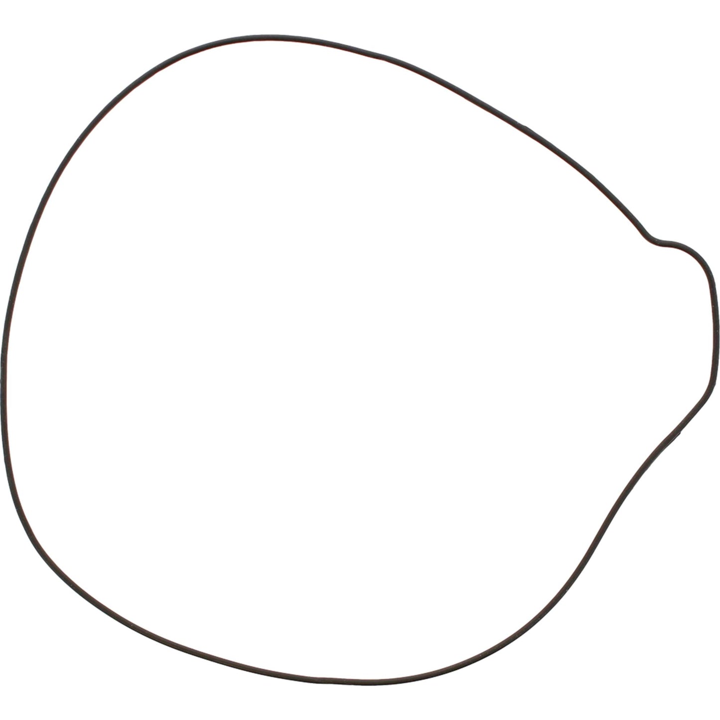 Vertex 333004