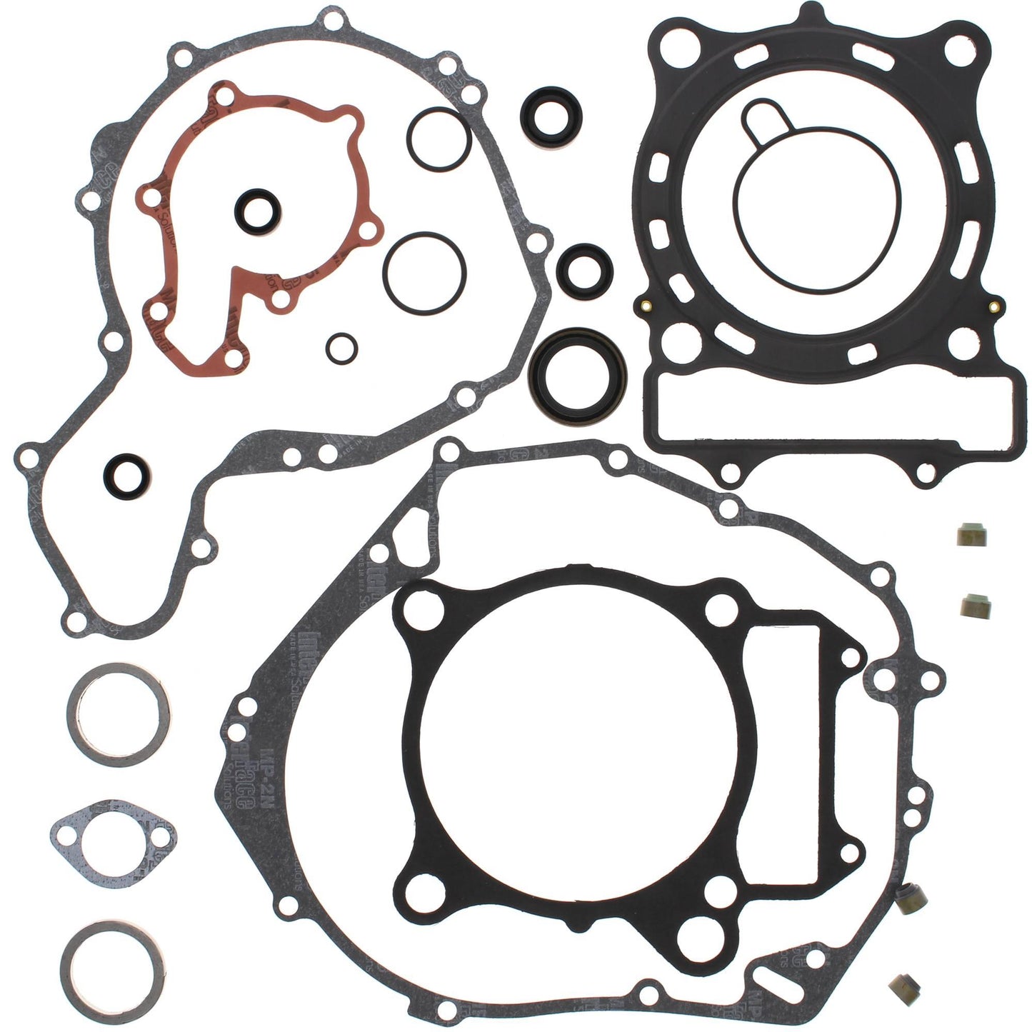 Vertex 811907