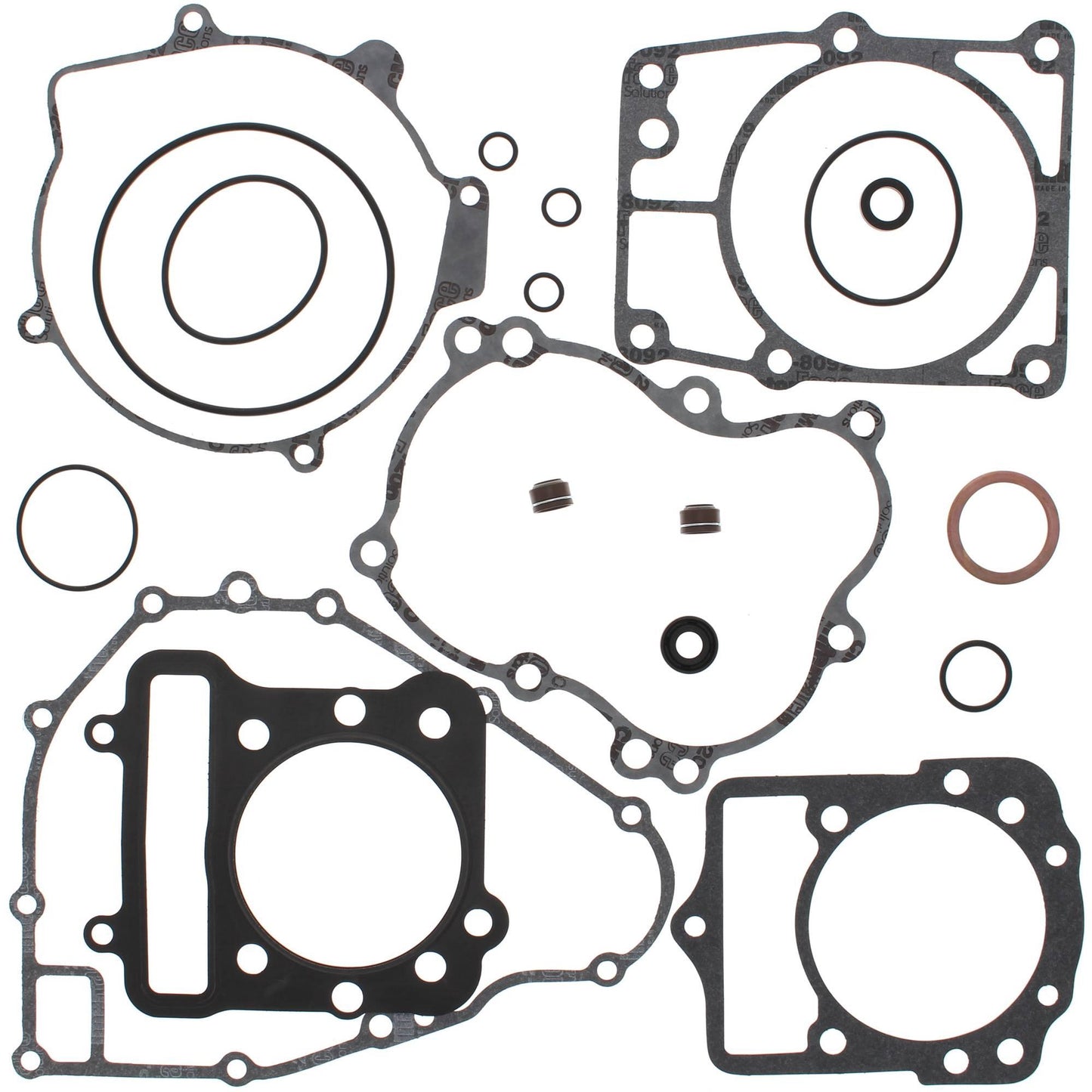 Vertex 808873
