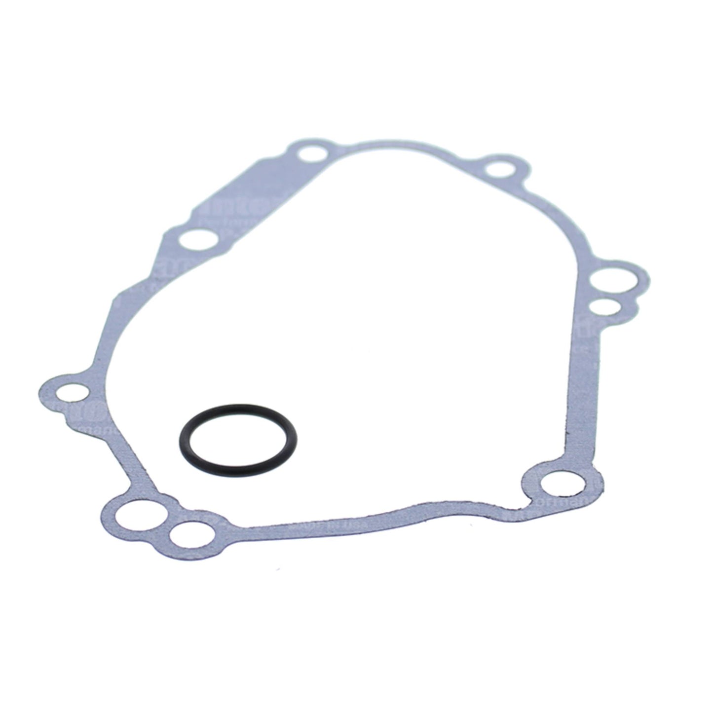 Vertex 331036