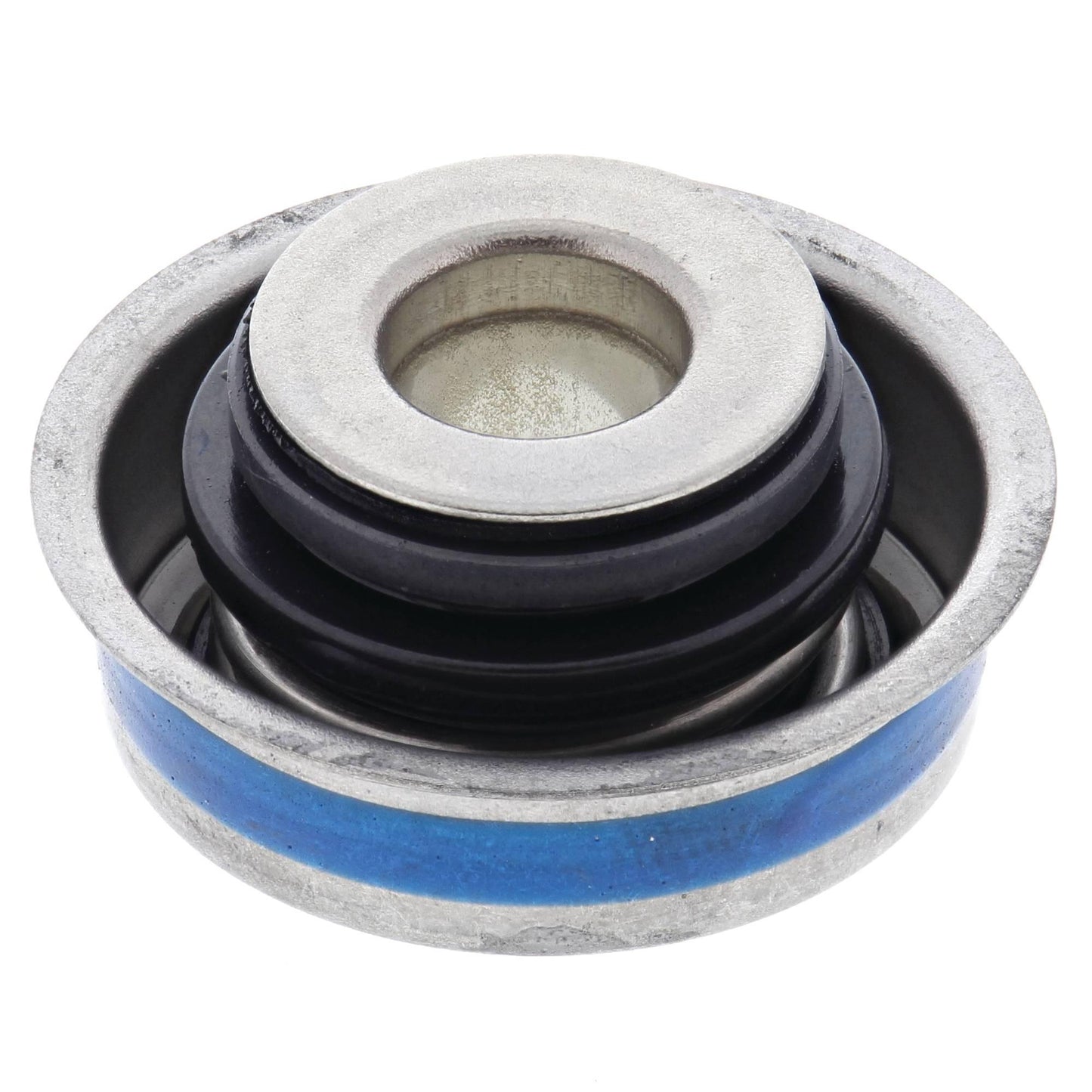 Vertex 503005