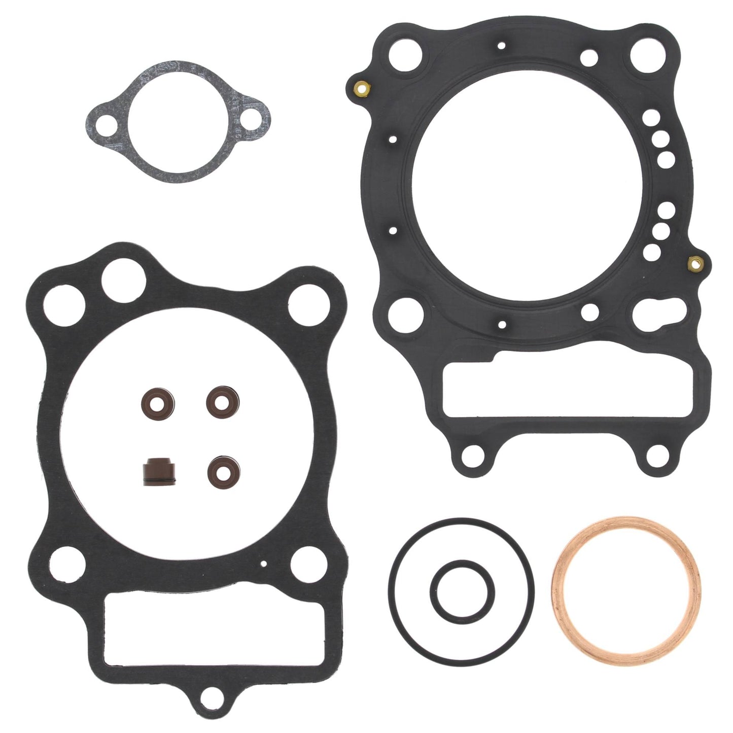 Vertex 810213
