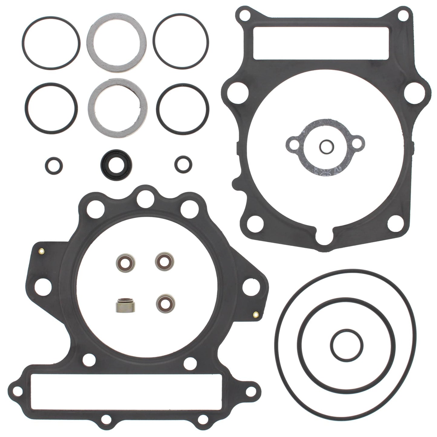 Vertex 810686