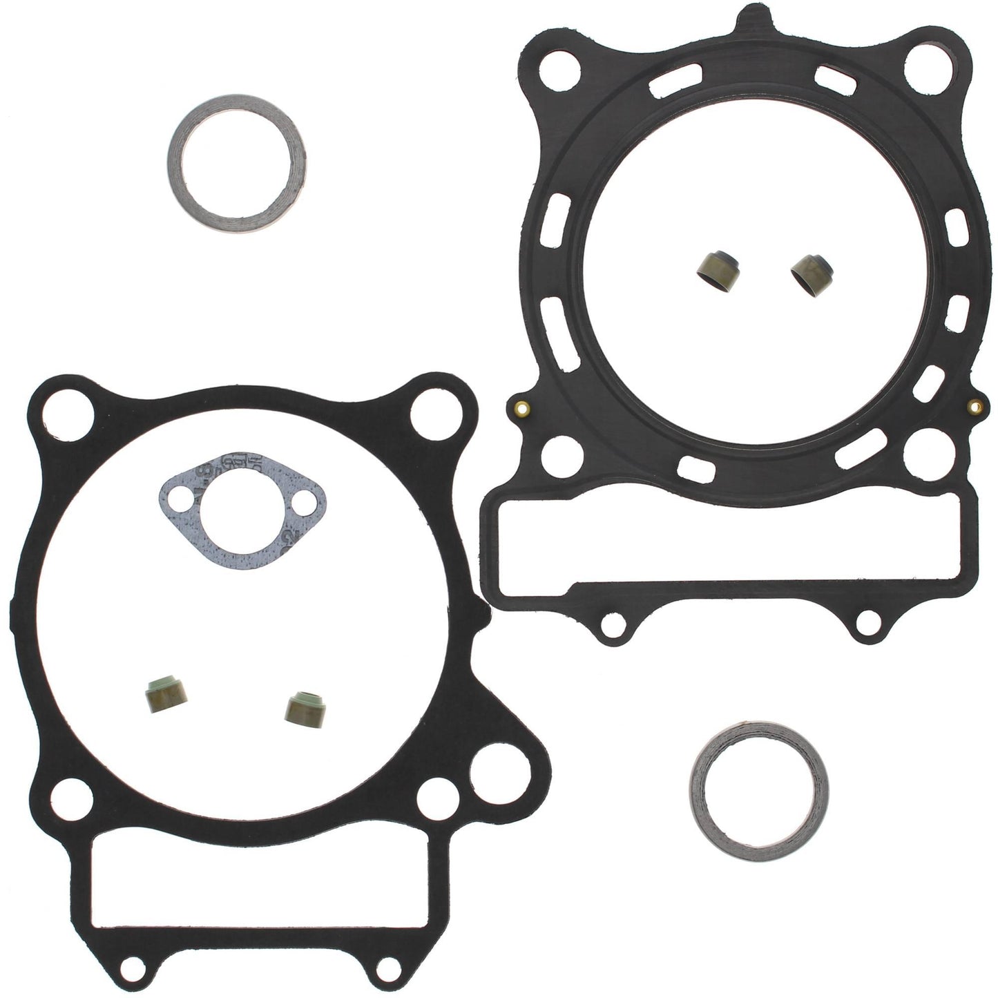 Vertex 810876