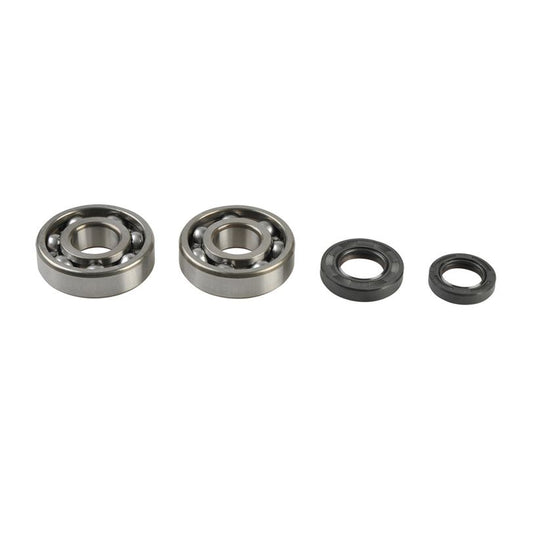 Athena P400210444079 Crankshaft Rebuilding Kit: Bearing and Oil Seal Kit