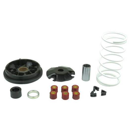 Athena P400480110002 Athena 6 Variator Rollers Kit 16x13 gr.8