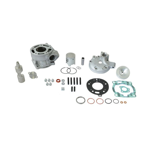 Athena P400485100019 2T Cast Piston Ø 55,95 mm for Athena Standard Bore Cylinder Kit