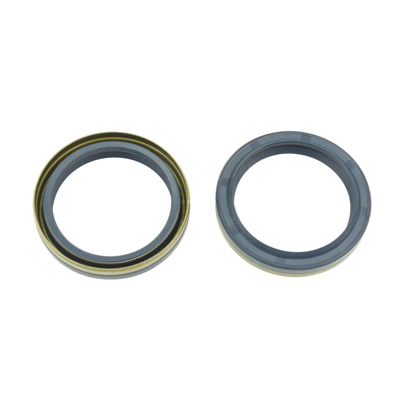 Athena P40FORK455196 Fork Oil Seal Kit 38,5x48x7 mm