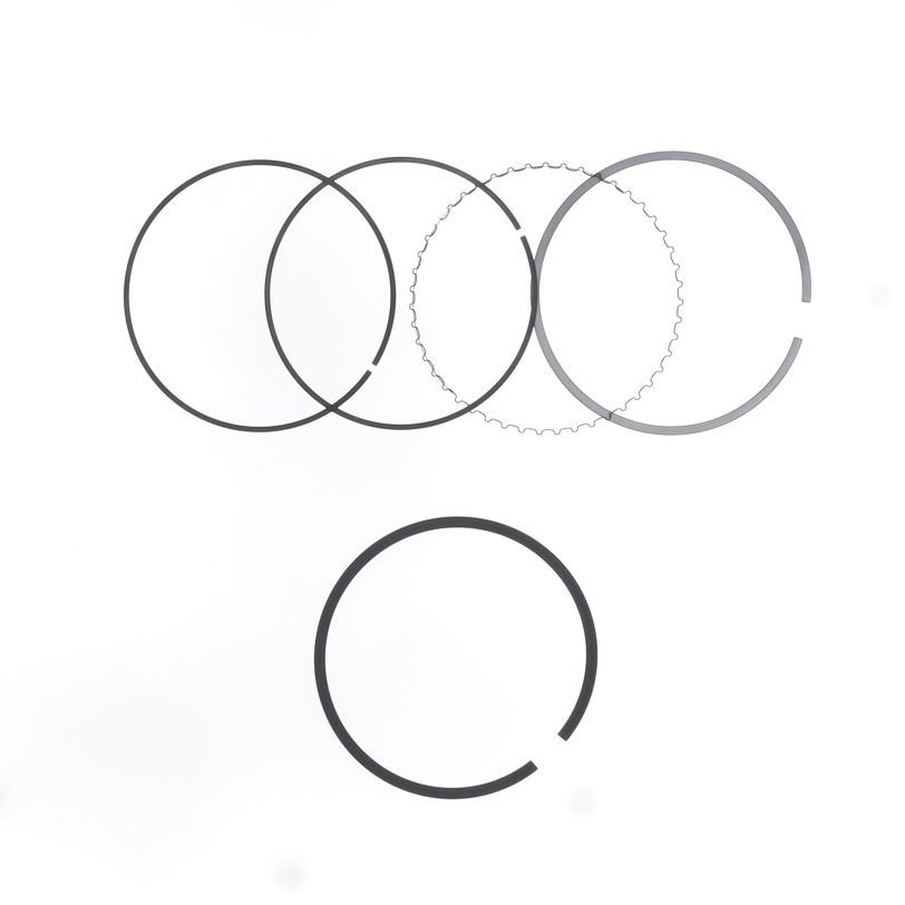Athena S41316062 Ring Set Ø 100 mm for Athena Piston