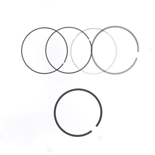 Athena S41316062 Ring Set Ø 100 mm for Athena Piston