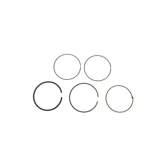 Athena S41316141 Ring Set Ø 78 mm for Athena Piston