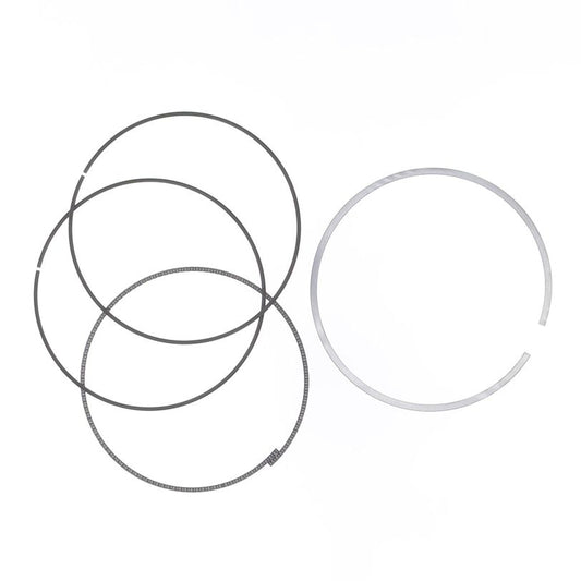 Athena S41316178 Ring Set Ø 100 mm for Athena Piston