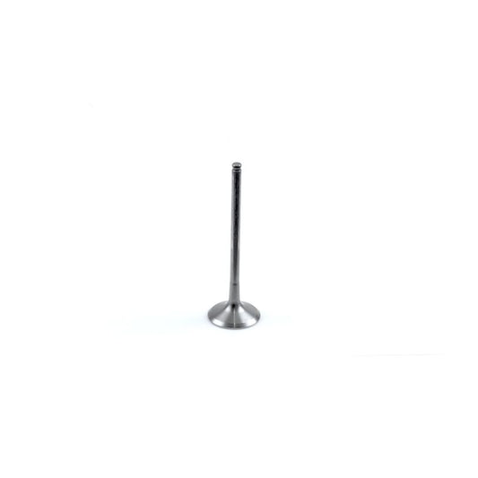 Athena VE-485203T Exhaust Valve