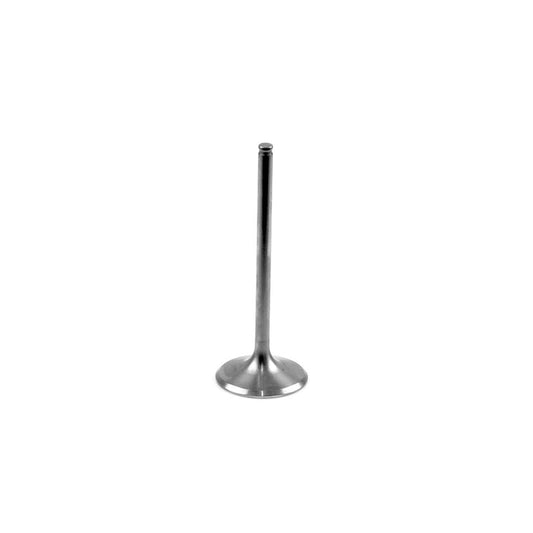 Athena VI-485205T Intake Valve