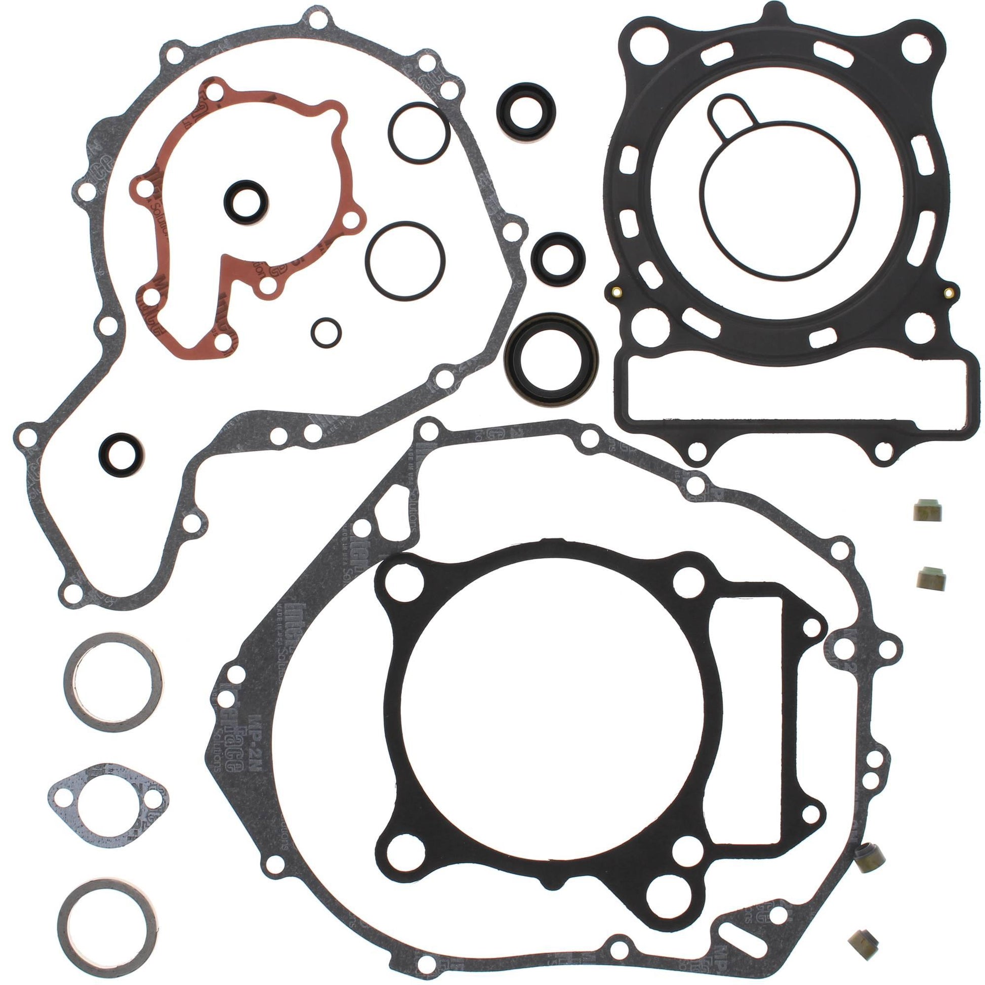 Vertex 811907
