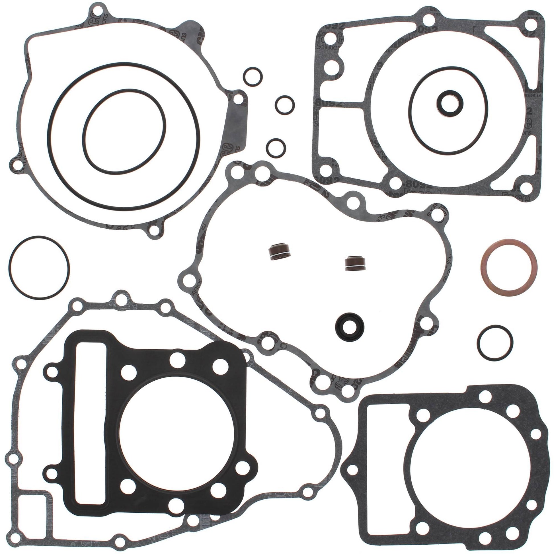Vertex 808873