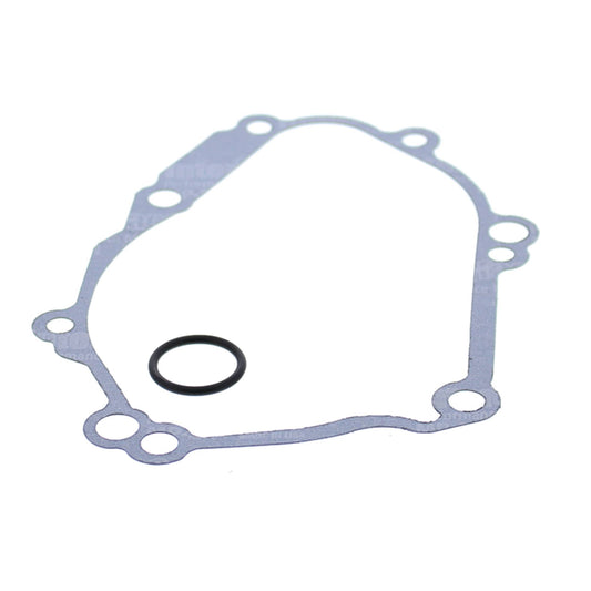 Vertex 331036