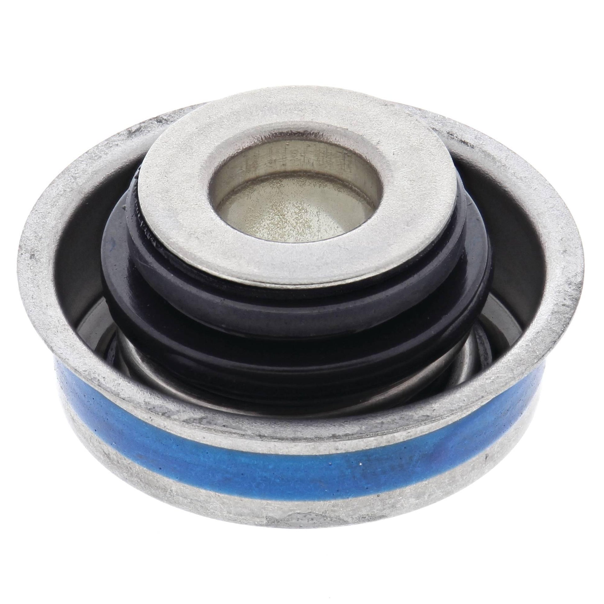 Vertex 503005