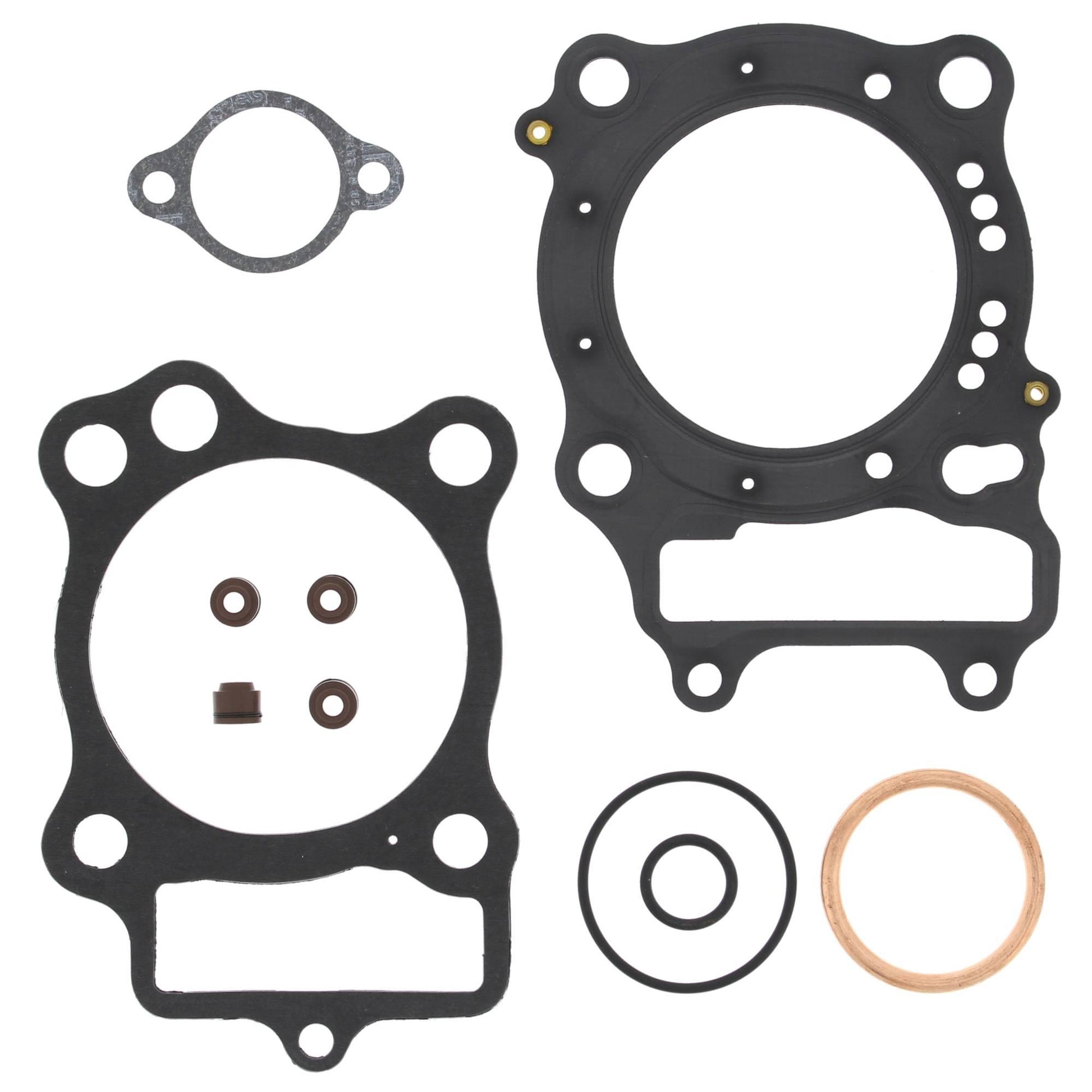 Vertex 810213