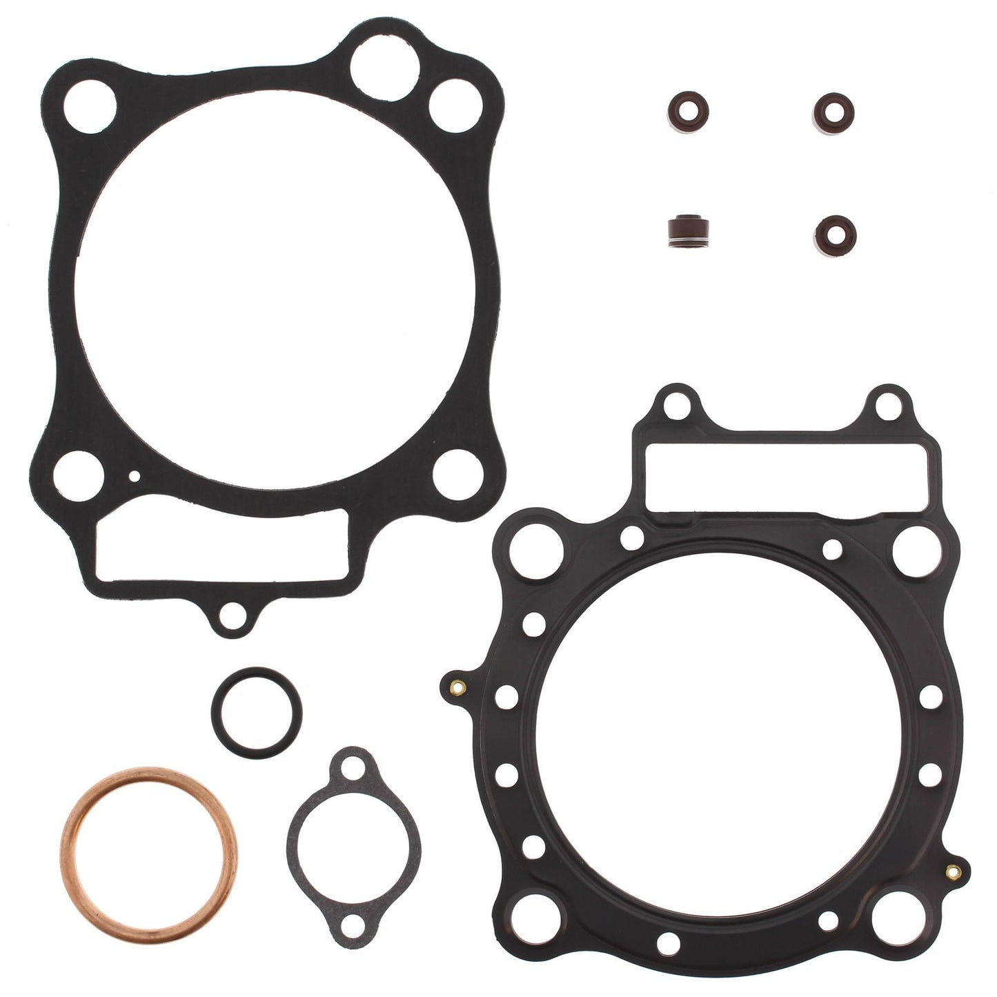 Vertex 810278