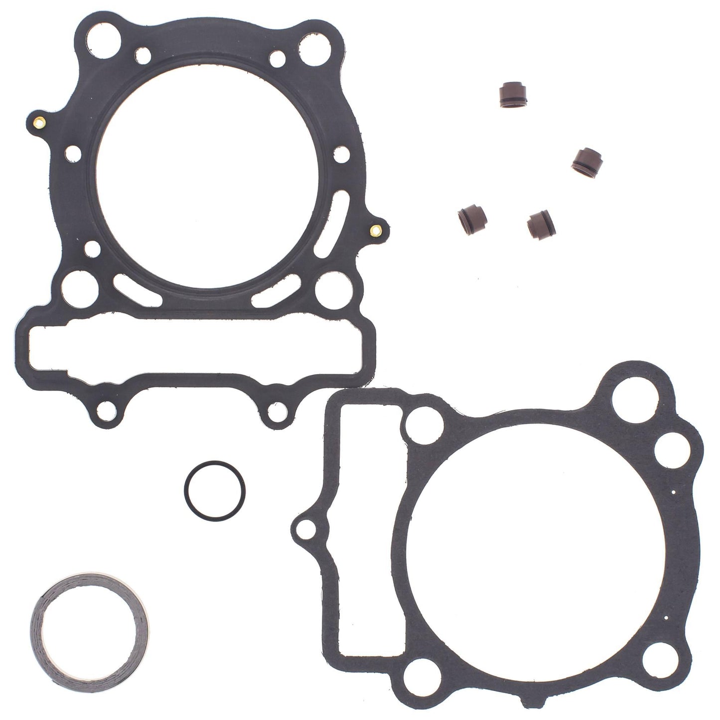 Vertex 810568