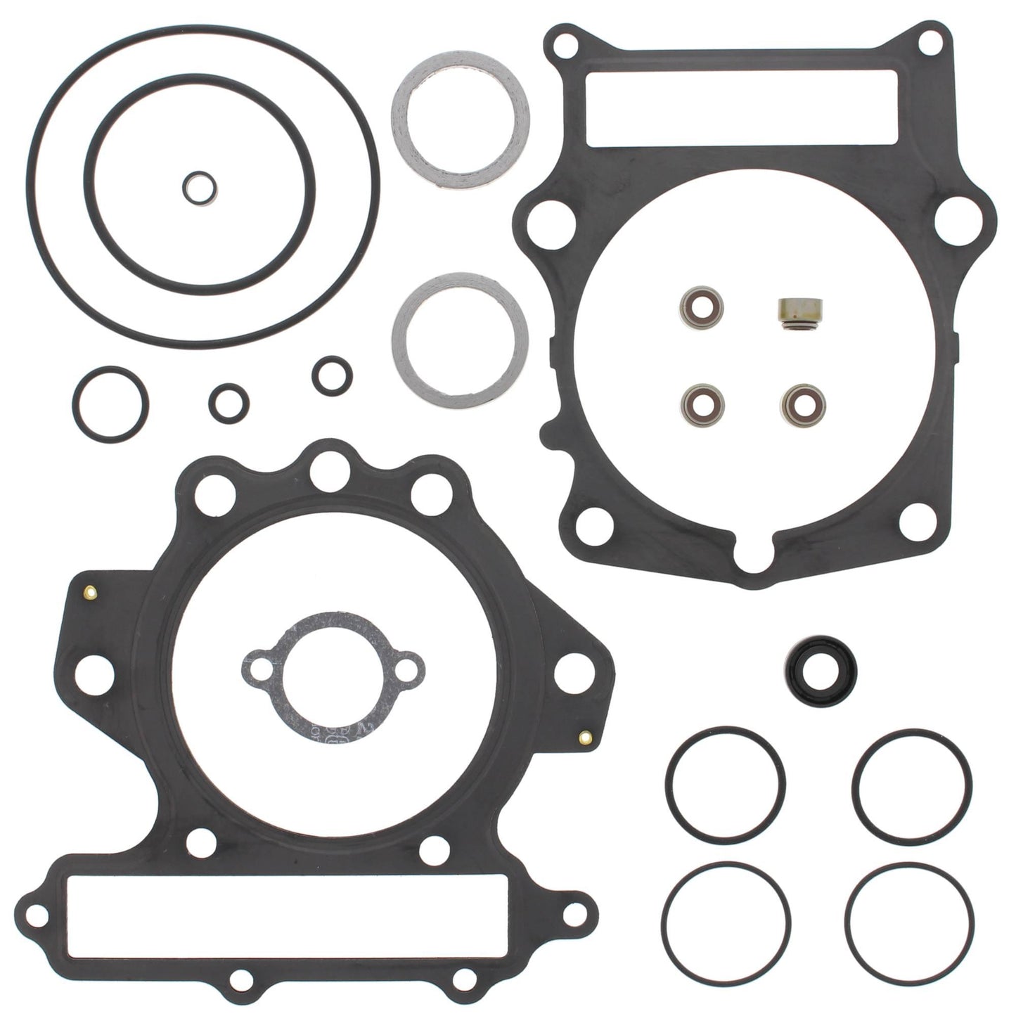 Vertex 810685