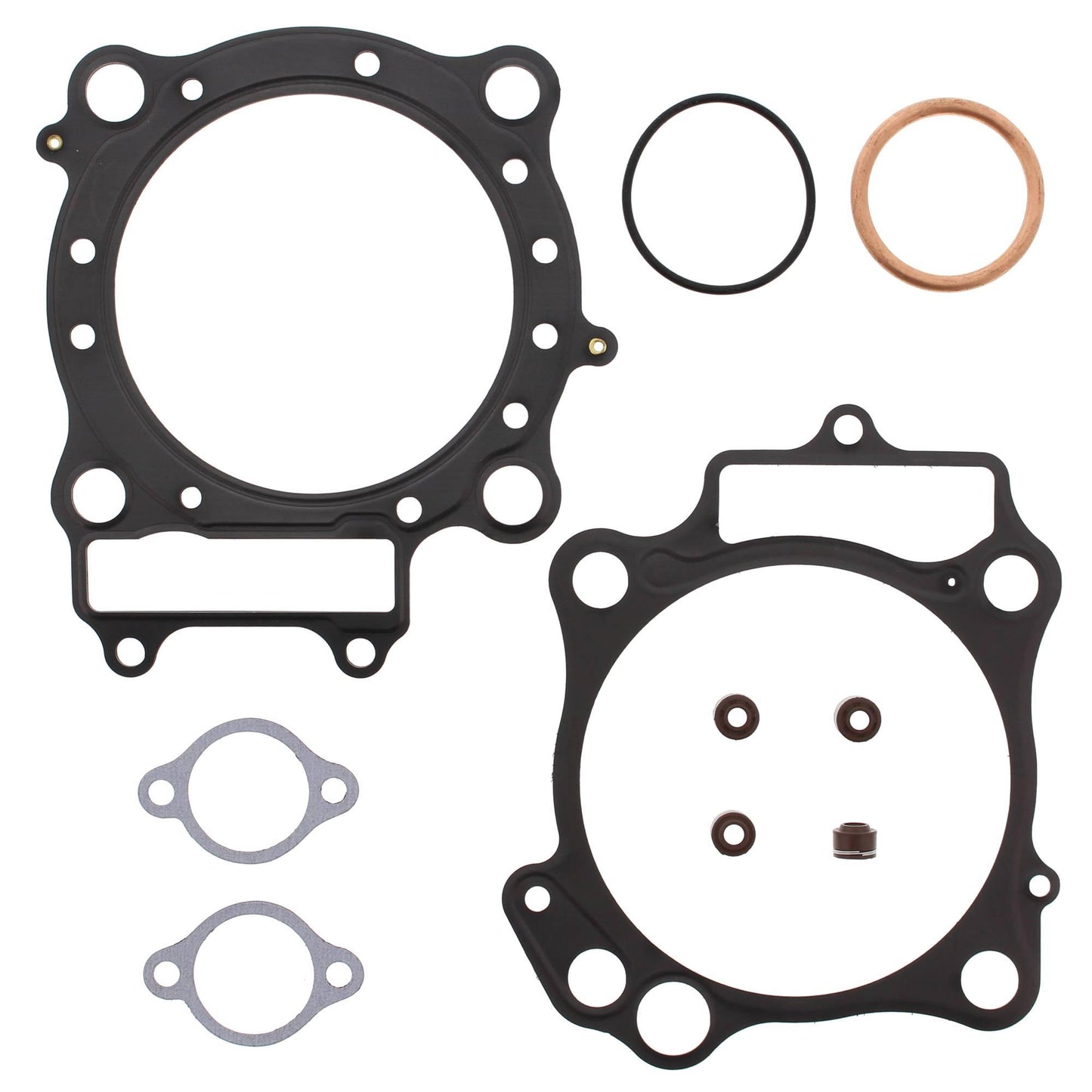 Vertex 810904