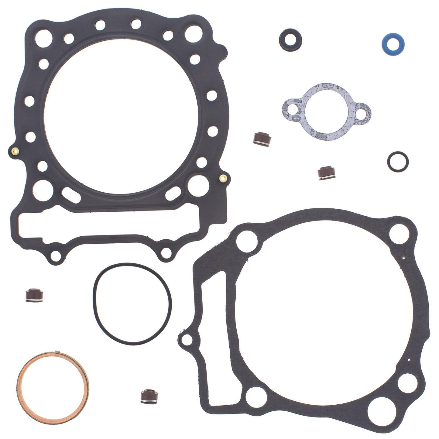 Vertex 810916