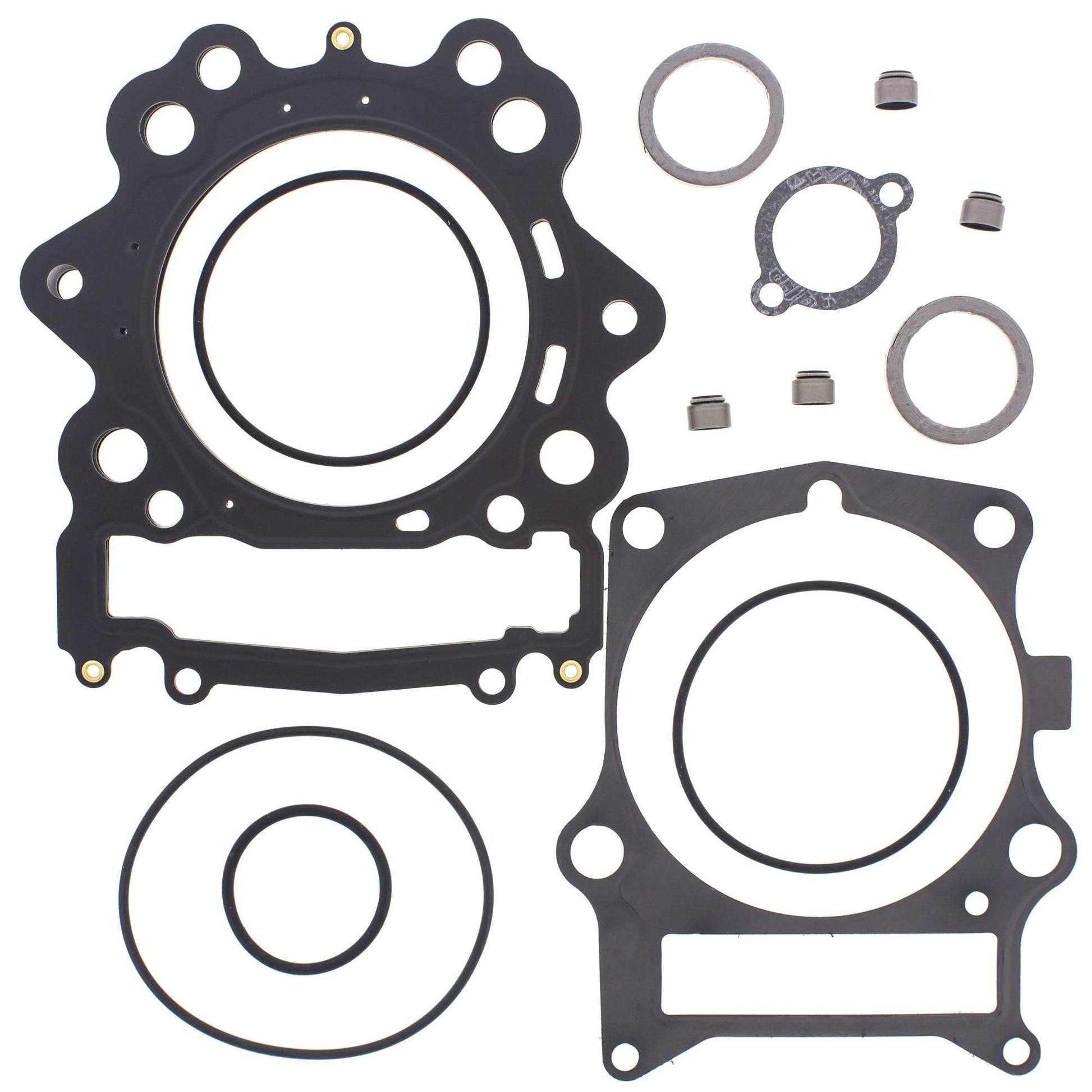 Vertex 810923