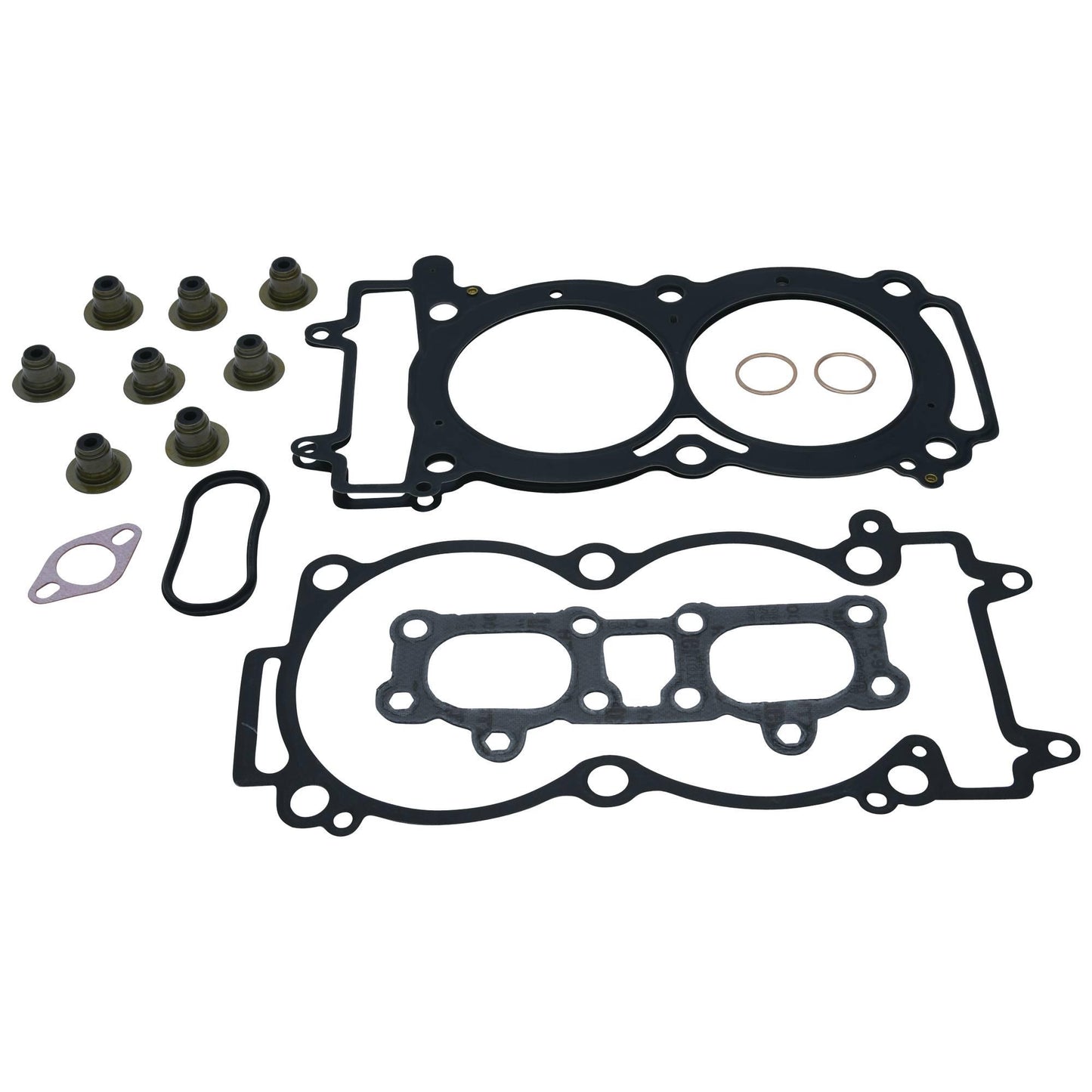 Vertex 810969