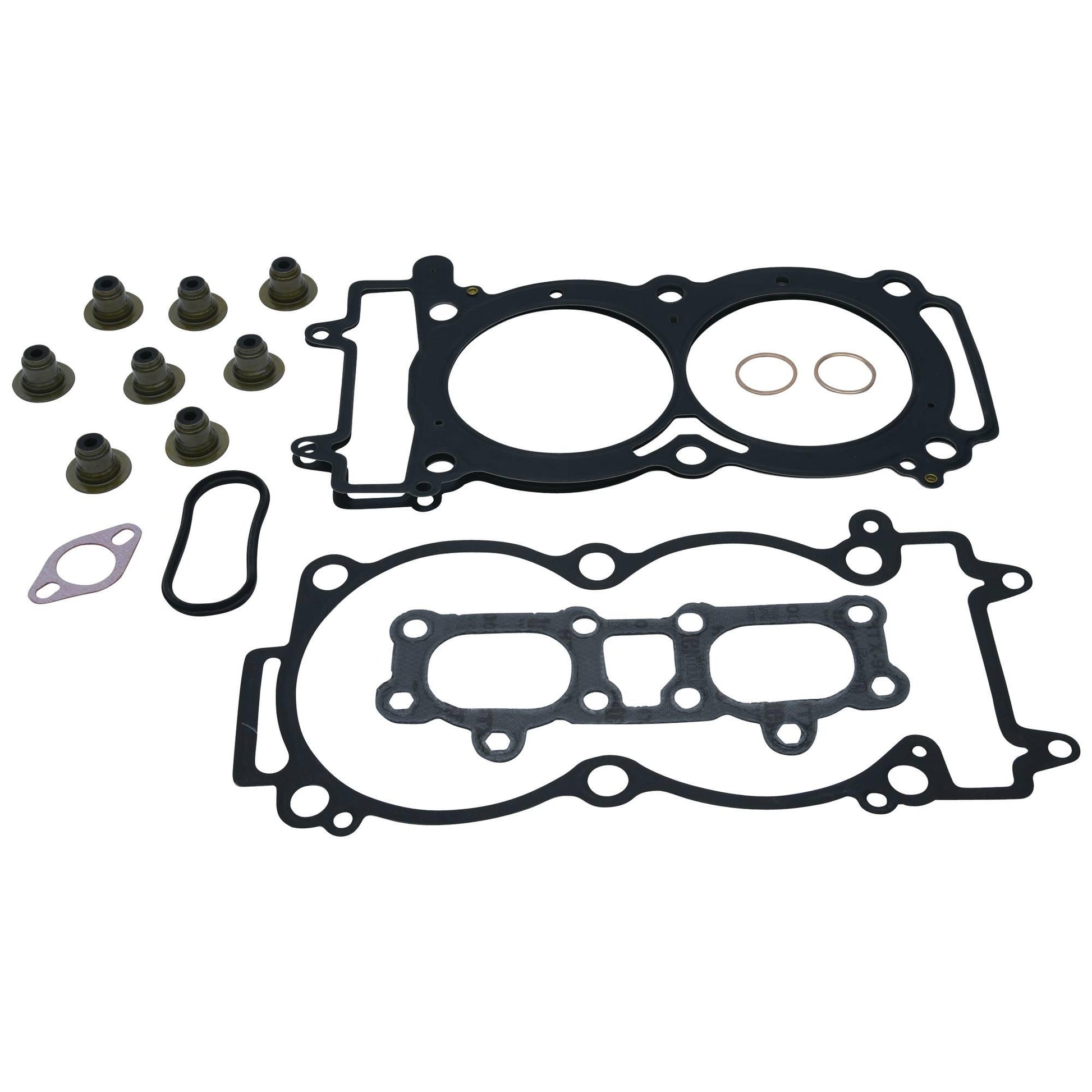 Vertex 810969