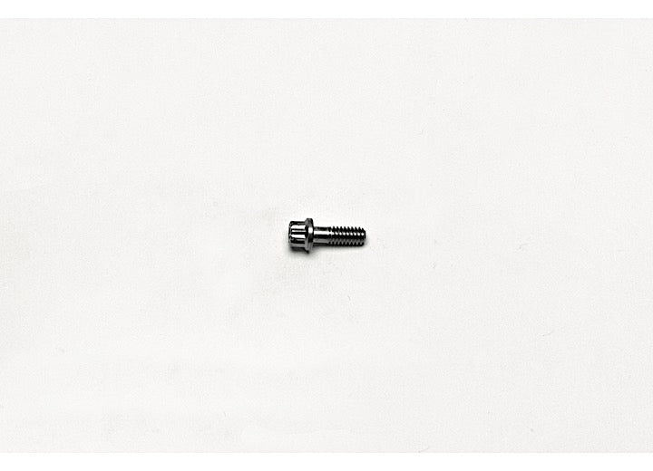 Wilwood Stainless Steel Rotor Bolt - 12pt 1/4-20 X .75 L